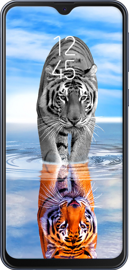 2D пластиковый чехол Тигр для Samsung Galaxy M20 - 6016t-1660 изображение 