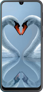 TPU чехол Лебеди для Samsung Galaxy M21 M215F - 6007b-2016 изображение 