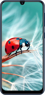 TPU чехол Божья коровка для Samsung Galaxy M31 M315F - 6049b-1907 изображение 