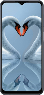 Силиконовый чехол Лебеди для Samsung Galaxy M33 M336B - 6007u-2633 изображение 