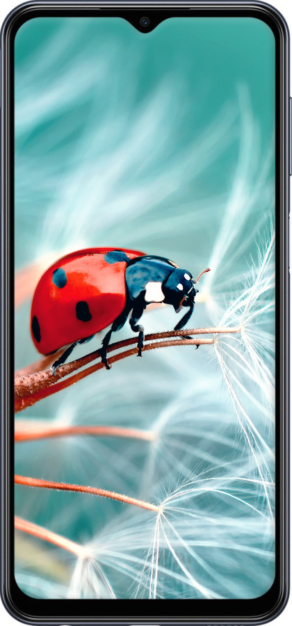 Силиконовый чехол Божья коровка для Samsung Galaxy M33 M336B - 6049u-2633 изображение 
