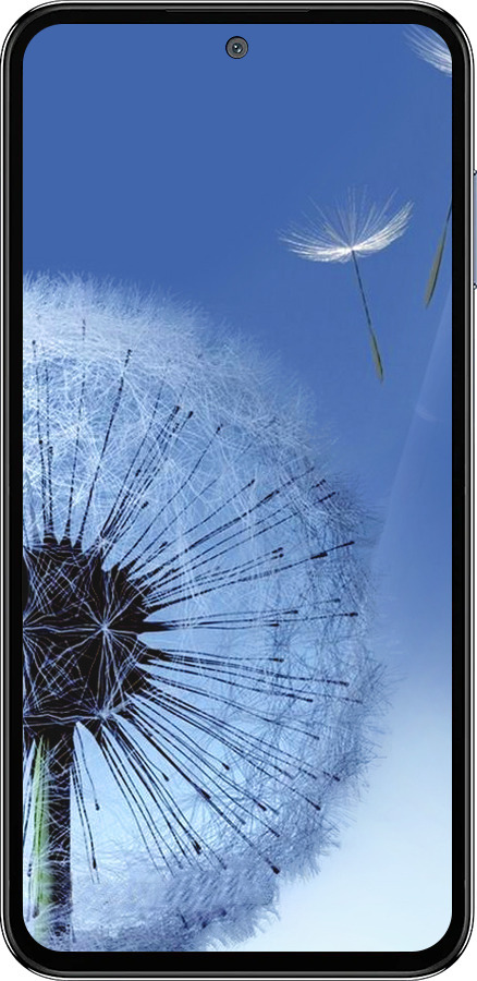Силіконовий чехол Кульбабка для Samsung Galaxy M35 5G - 6005u-3738 изображение 