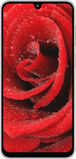 Силиконовый чехол Красная роза для Samsung Galaxy M36 - 529u-4103 изображение 