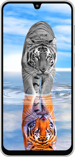 Силиконовый чехол Тигр для Samsung Galaxy M36 - 6016u-4103 изображение 