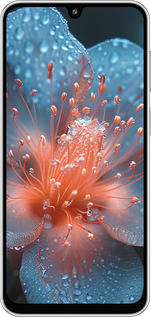 Силиконовый чехол Роса на цветке для Samsung Galaxy M36 - 6039u-4103 изображение 