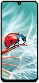 Силиконовый чехол Божья коровка для Samsung Galaxy M36 - 6049u-4103 изображение 