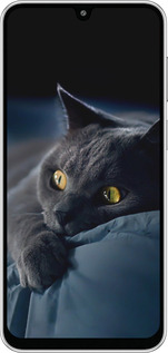 Силіконовий чехол Димчастий кіт для Samsung Galaxy M36 - 825u-4103 изображение 