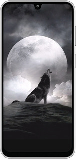 Силиконовый чехол Воющий волк для Samsung Galaxy M36 - 934u-4103 изображение 