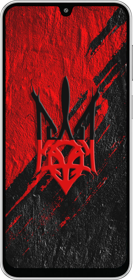 Силиконовый чехол Герб v4 для Samsung Galaxy M36 - 5293u-4103 изображение 