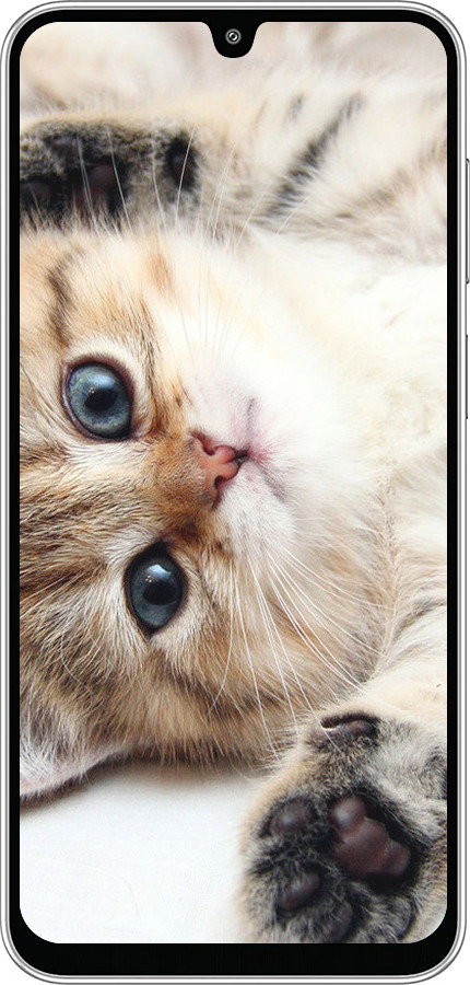 Силиконовый чехол Котик для Samsung Galaxy M36 - 6024u-4103 изображение 