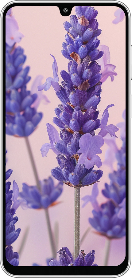 Силиконовый чехол Лаванда для Samsung Galaxy M36 - 6037u-4103 изображение 