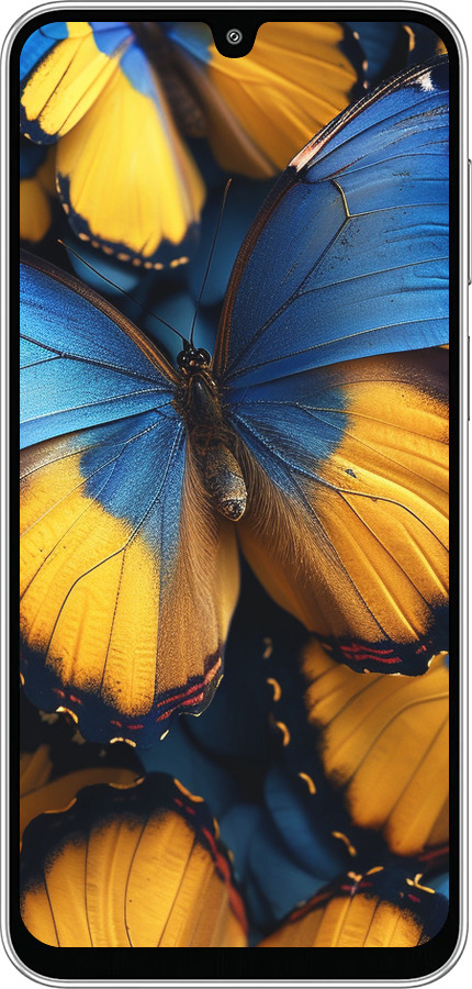 Силиконовый чехол Желто-голубые бабочки для Samsung Galaxy M36 - 6046u-4103 изображение 