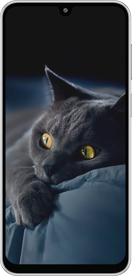 Силіконовий чехол Димчастий кіт для Samsung Galaxy M36 - 825u-4103 изображение 
