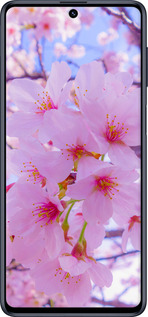 TPU чехол Сакура для Samsung Galaxy M51 M515F - 6029b-1944 изображение 