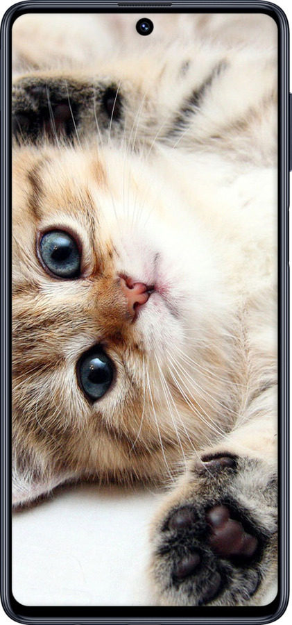 TPU чехол Котик для Samsung Galaxy M51 M515F - 6024b-1944 изображение 