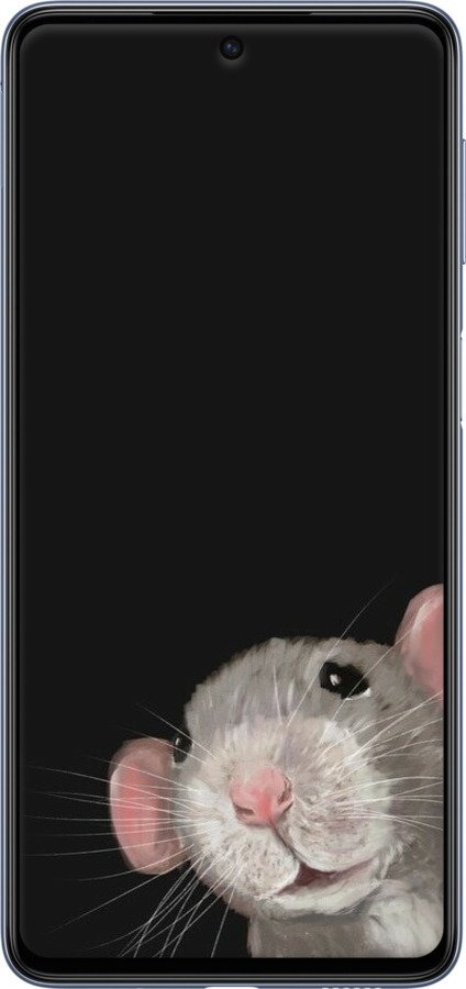 TPU чехол The Peeking Rat для Samsung Galaxy M53 M536B - 6442b-2608 изображение 