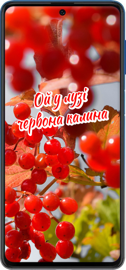 Силіконовий чехол Калина для Samsung Galaxy M62 - 5454u-2263 изображение 