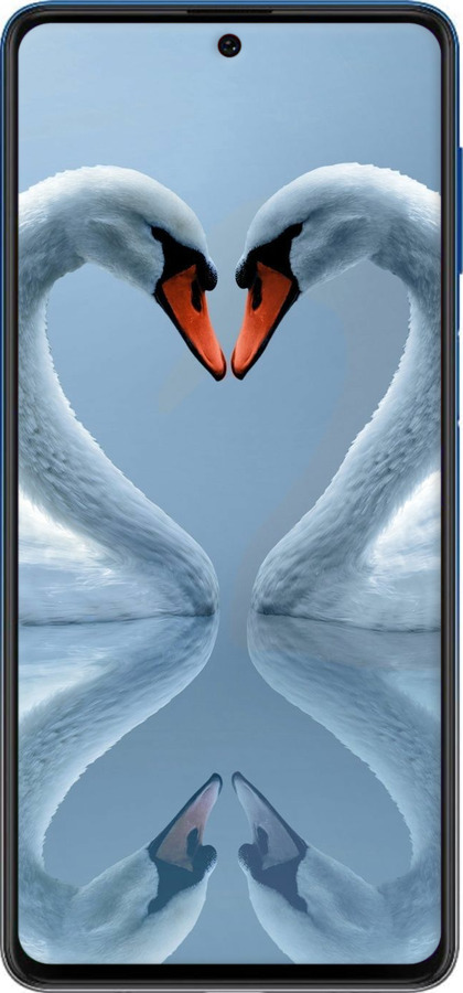 Силиконовый чехол Лебеди для Samsung Galaxy M62 - 6007u-2263 изображение 