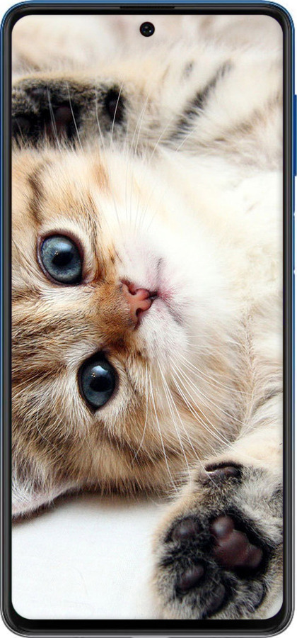 Силиконовый чехол Котик для Samsung Galaxy M62 - 6024u-2263 изображение 