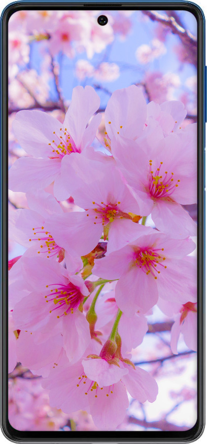 Силіконовий чехол Сакура для Samsung Galaxy M62 - 6029u-2263 изображение 