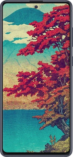 2D пластиковый чехол С изображением природы для Samsung Galaxy Note 10 Lite - 6469t-1872 изображение 