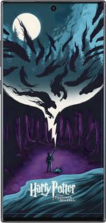 2D пластиковый чехол Гарри Поттер 2 для Samsung Galaxy Note 10 Plus - 6337t-1756 изображение 