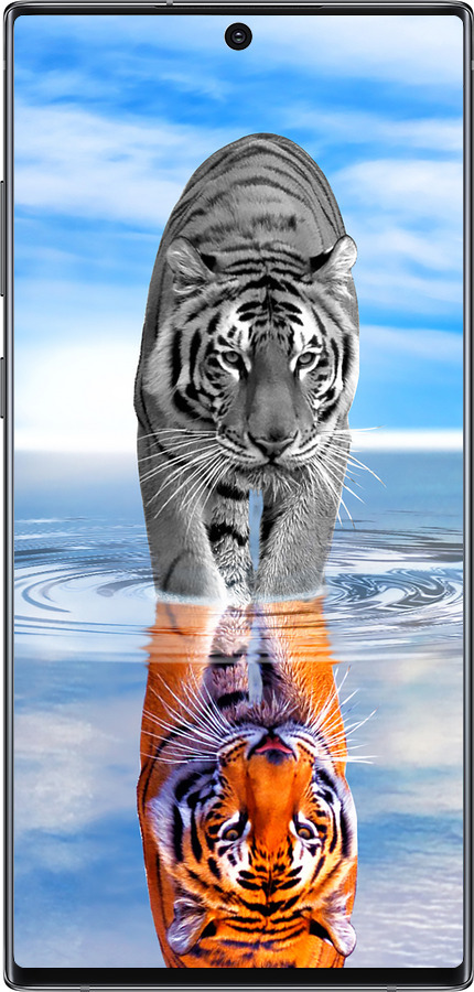 Силиконовый чехол Тигр для Samsung Galaxy Note 10 Plus - 6016u-1756 изображение 