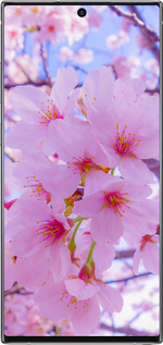 TPU чехол Сакура для Samsung Galaxy Note 10 - 6029b-1718 изображение 