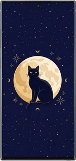 Силиконовый чехол Cute Cat Celestial/Witchy для Samsung Galaxy Note 10 - 6787u-1718 изображение 