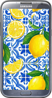 2D пластиковий чехол Grocery Girl Italian Summer для Samsung Galaxy Note 2 N7100 - 6766t-17 изображение 