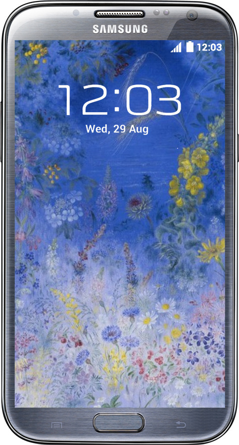 2D пластиковий чехол Білокур для Samsung Galaxy Note 2 N7100 - 5908t-17 изображение 