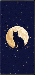 TPU чехол Cute Cat Celestial/Witchy для Samsung Galaxy Note 20 Ultra - 6787b-2051 изображение 
