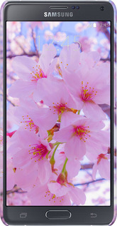 3D пластиковий матовий чехол Сакура для Samsung Galaxy Note 4 N910H - 6029m-64 изображение 