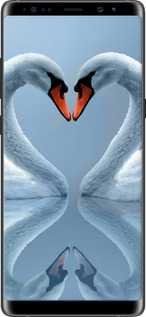 2D пластиковый чехол Лебеди для Samsung Galaxy Note 8 - 6007t-1020 изображение 