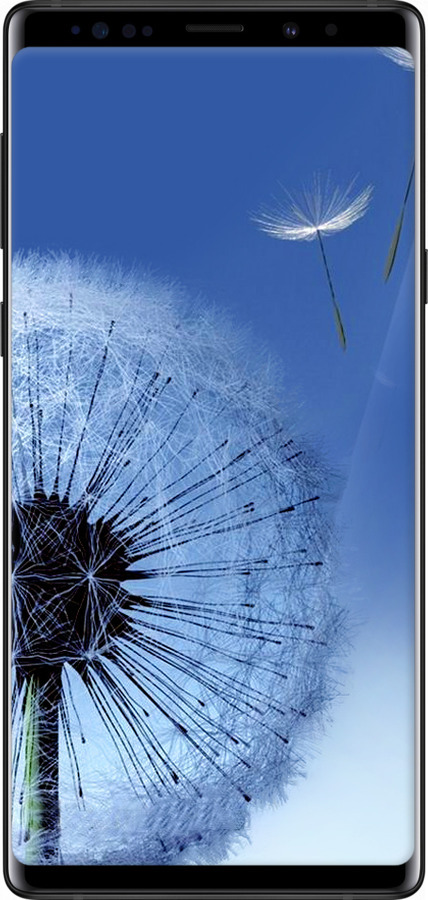 Силіконовий чехол Кульбабка для Samsung Galaxy Note 9 N960F - 6005u-1512 изображение 