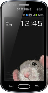 3D пластиковый глянцевый чехол The Peeking Rat для Samsung Galaxy S Duos s7562 - 6442c-84 изображение 
