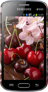 3D пластиковий глянцевий чехол Вишня у шоколаді для Samsung Galaxy S Duos s7562 - 6698c-84 изображение 