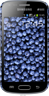 3D пластиковий глянцевий чехол Чорниця для Samsung Galaxy S Duos s7562 - 851c-84 изображение 