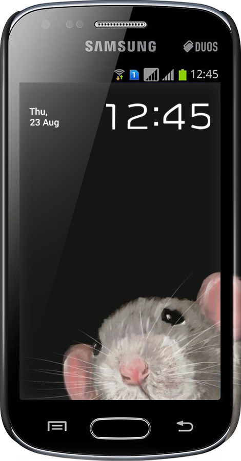 3D пластиковый глянцевый чехол The Peeking Rat для Samsung Galaxy S Duos s7562 - 6442c-84 изображение 