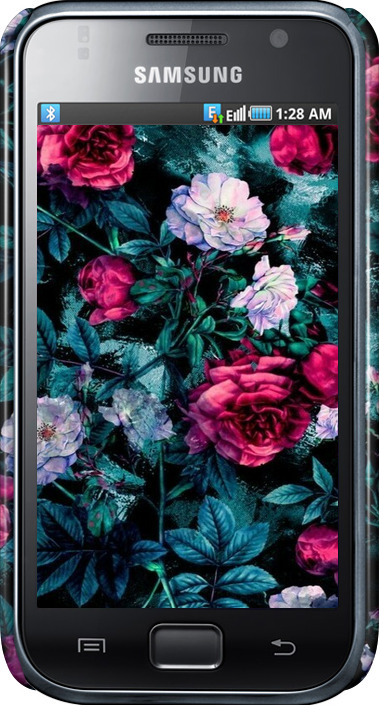 3D пластиковый глянцевый чехол Сад и розы для Samsung Galaxy S i9000 - 6483c-77 изображение 