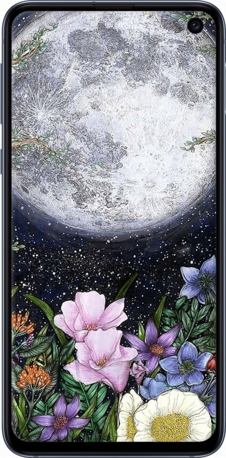 2D пластиковый чехол Полночь в саду II для Samsung Galaxy S10e - 6424t-1646 изображение 