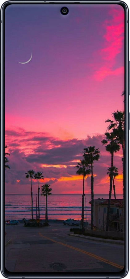 TPU чехол Пальми для Samsung Galaxy S10 Lite 2020 - 5873b-1851 изображение 