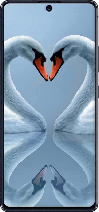 TPU чехол Лебеди для Samsung Galaxy S10 Lite 2020 - 6007b-1851 изображение 