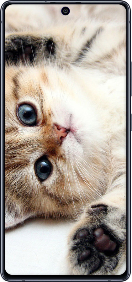 TPU чехол Котик для Samsung Galaxy S10 Lite 2020 - 6024b-1851 изображение 