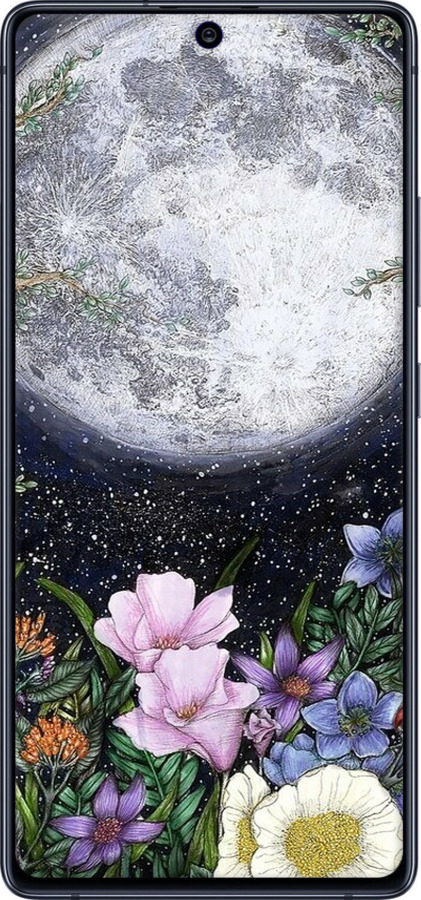 TPU чехол Північ у саду II для Samsung Galaxy S10 Lite 2020 - 6424b-1851 изображение 