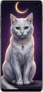 2D пластиковый чехол Mystic White Cat Gothic Dark Purple Gold для Samsung Galaxy S10 Plus - 6805t-1649 изображение 