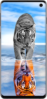 TPU чехол Тигр для Samsung Galaxy S10 - 6016b-1640 изображение 