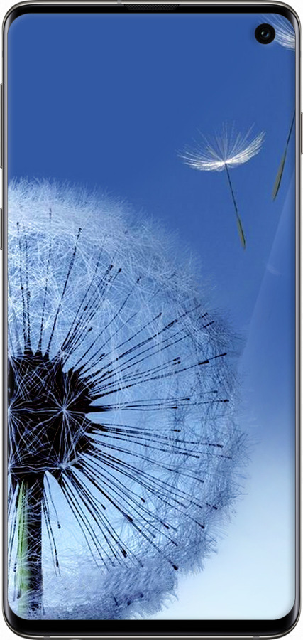 TPU чехол Одуванчик для Samsung Galaxy S10 - 6005b-1640 изображение 