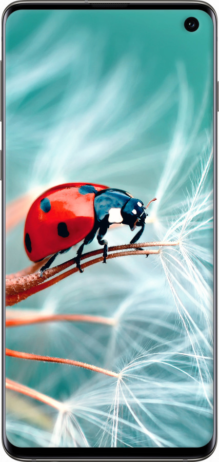 Силикон с усиленными углами чехол Божья коровка для Samsung Galaxy S10 - 6049sp-1640 изображение 