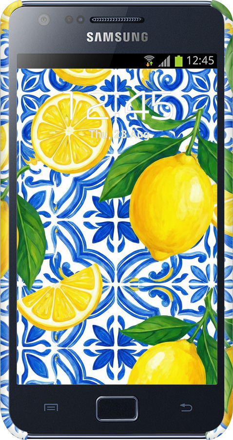 3D пластиковий матовий чехол Grocery Girl Italian Summer для Samsung Galaxy S2 i9100 - 6766m-14 изображение 